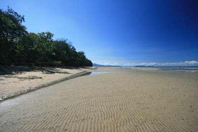 Daintree Rainforest and Great Barrier Reef