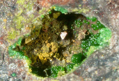 Tetraedrita y conicalcocita-Tetrahedrite & Conichalcite