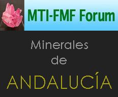 Ir al Foro