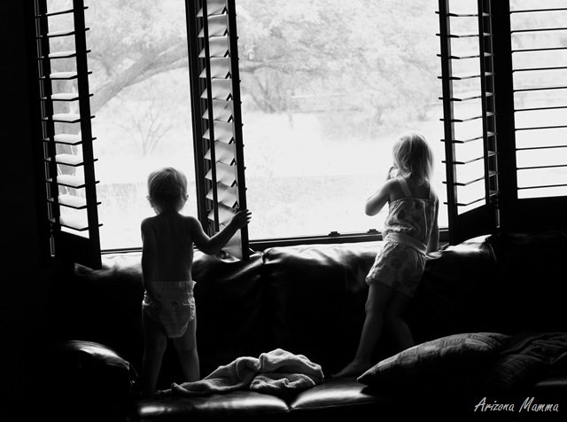 [kids in shutters[6].jpg]
