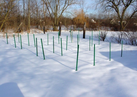 [Sleeping Garden[9].jpg]