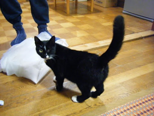 http://lh5.ggpht.com/_ogqP-NvBGAQ/TMsk3ZOscRI/AAAAAAAAApk/T2LBLQ1mjU0/DSCF8193.JPG