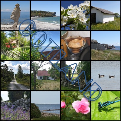 [2009-blogg-gotland-10[3].jpg]
