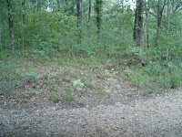 Reunion2006 020.jpg