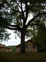 72802007 008.jpg
