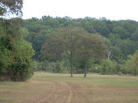 72802007 012.jpg