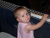 72802007 030.jpg