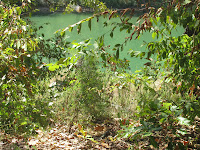 Jones Reunion 2010 053.JPG