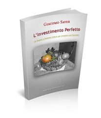 investimeno-perfetto-ebook investimeno-perfetto-ebook