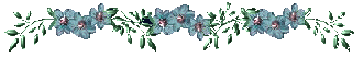 [barraflor1[2].gif]