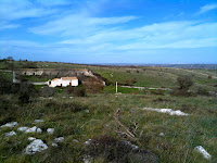 IMG_1156.JPG