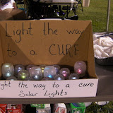 Our solar light display - I made the jars, my father made the box, and my mother labelled it.