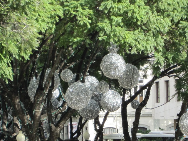 [IMG_06692.jpg]
