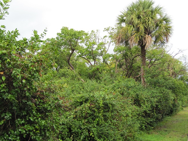 [IMG_08642.jpg]