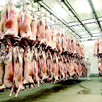 10.000 tonnes seront importées pour le Ramadhan, L’agneau tout-venant à 550 dinars…!