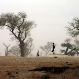 Al Qaida revient en force au Sahel