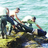 2 harragas algériens tabassés par des militaires en Italie
