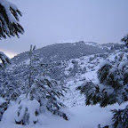 Intempéries: Neige et routes coupées dans six wilayas