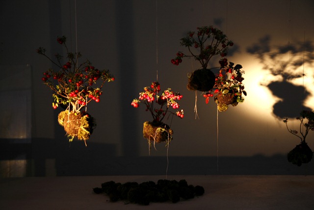 [string gardens[4].jpg]
