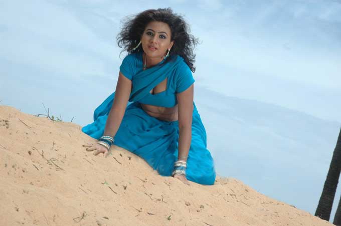 indian masala actress saree sari pics