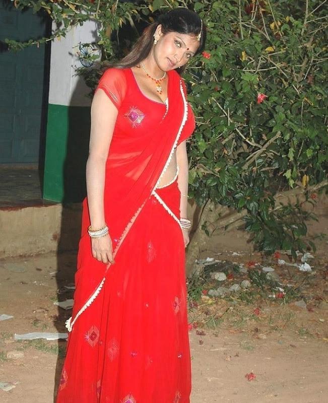 indian masala actress saree sari pics