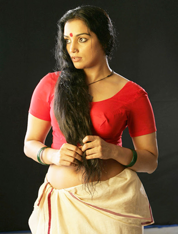 indian masala pics