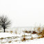 winterbyamymillerphotos Iarna nu vrea sa plece ( Galerie Foto )