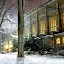 lawlibrarywinter Iarna nu vrea sa plece ( Galerie Foto )