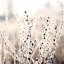 winterby6artificial6 Iarna nu vrea sa plece ( Galerie Foto )