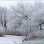 winterwonderland Iarna nu vrea sa plece ( Galerie Foto )