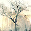 winterwillow Iarna nu vrea sa plece ( Galerie Foto )