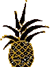 [pineapple-2[8].gif]