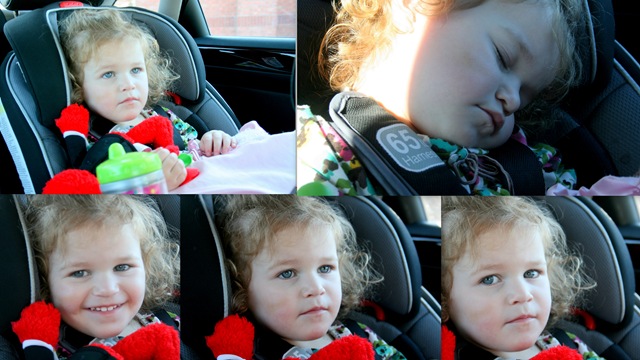 [Lilly Elmo.jpg]