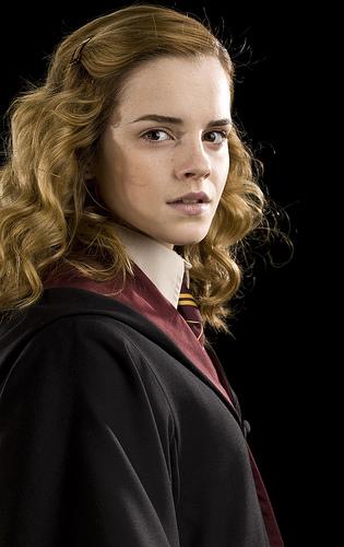 Hermione Half-Blood Prince