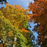 DS1_2392.jpg