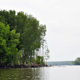 DSC_7011.JPG