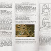 St Mary the Virgin page 2.jpg