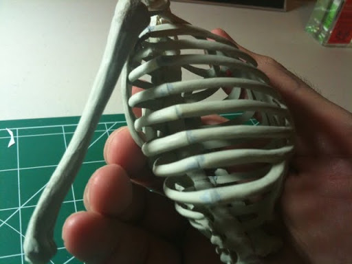 Side%20skeleton%20sanded.jpg