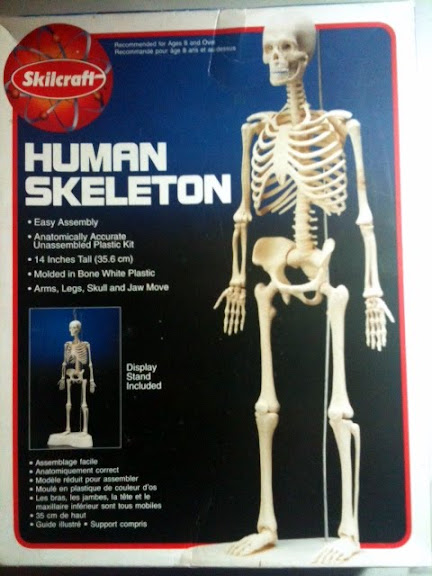 BoxArtSkeleton.JPG