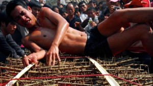 Asian-ritual-rolling-on-thorny-bed-300x170.jpg