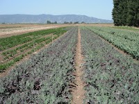 DSCF0614.JPG
