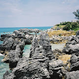 Shore, Bermuda, K.M. Newton, 2006