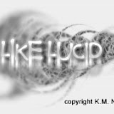 Like Lucid Concept Logo
