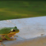 DSCF8544.JPG