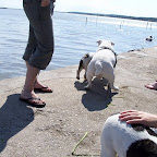 100_3511.JPG