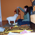 100_3226.JPG