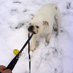 DSC00142.JPG