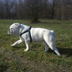 DSC00214.JPG