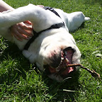 DSC00324.JPG