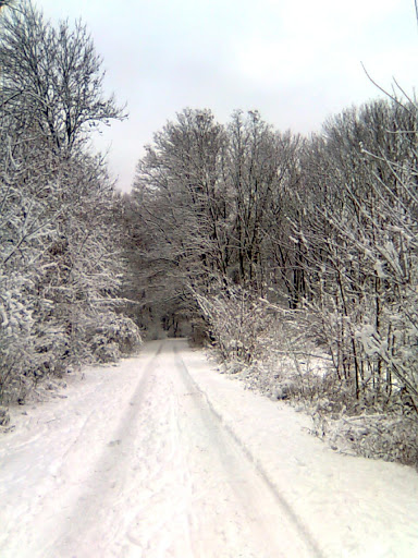 Bild110.jpg